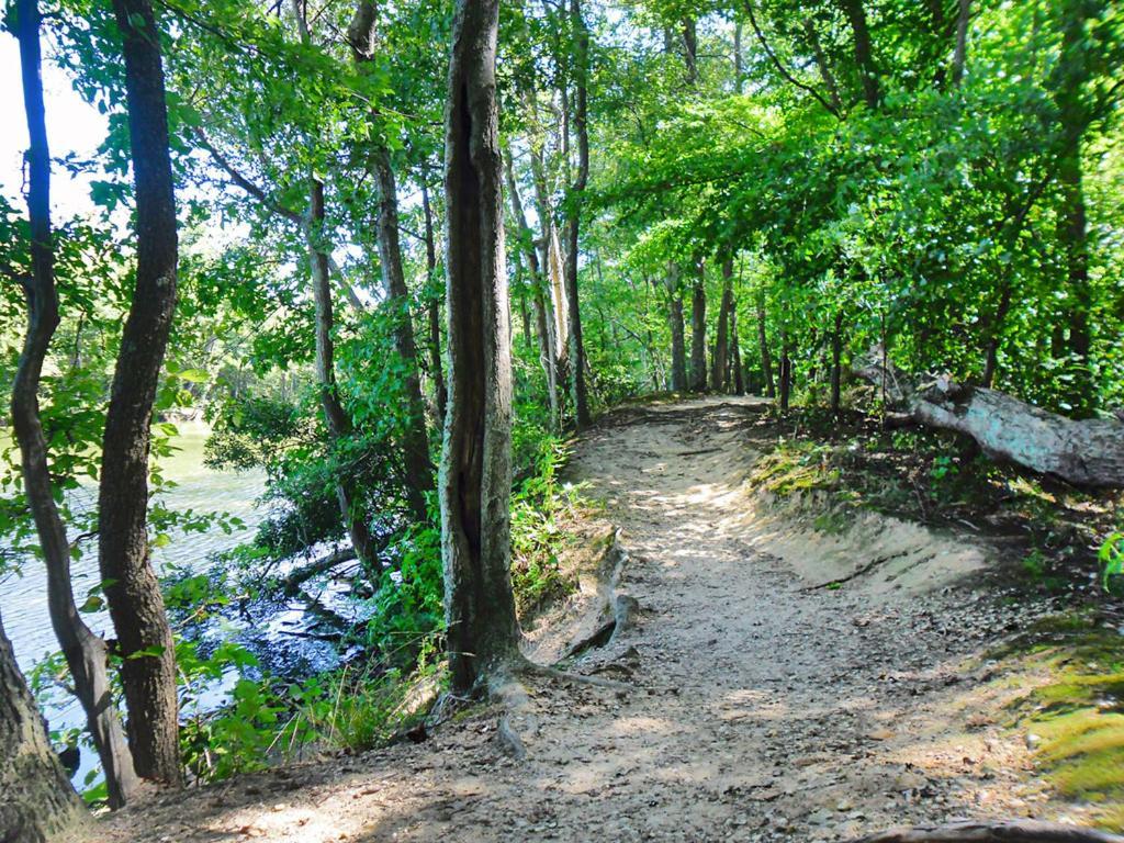 Private Boho Bungalow 10 Minutes To Downtown Rva! Richmond Eksteriør bilde
